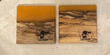 Load image into Gallery viewer, C6 Spalted Hackberry &amp; Honey Resin Coasters, Set of 4
